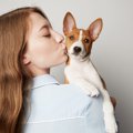 犬の飼い主が無意識…