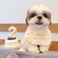 お誕生日で『記念写…