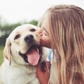 犬にとっての『至福…