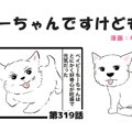 ちーちゃんですけど…
