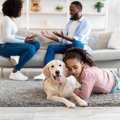 犬が『人の喧嘩を止…