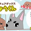 デカチュアダックス…