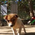 首の傷から出血して…
