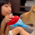 向かい合って遊ぶ『6…