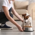 犬が『空腹』のとき…