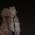 歩きにくくない？不…