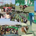 イヌリンピック2015 …