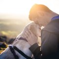 本当のところ、犬は…