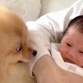 『生まれて４日赤ち…