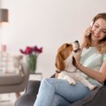 犬が飼い主の電話中…