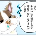 僕のはなぺちゃ工房 …