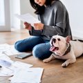 『犬を飼うのに向い…