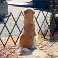 『パパが…帰ってこな…