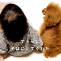 ４年間『女の子の幼…