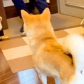 仕事が忙しく『休日…