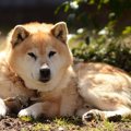 リスクを減らして長…