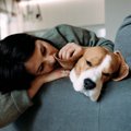 犬が急に素っ気なく…