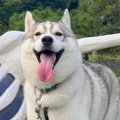 ガイコツと記念写真…