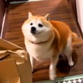 『たった30分待った…