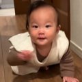 ハイハイをする赤ち…