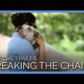 犬の虐待の原因｜動…