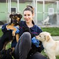 犬の生活環境と人と…