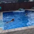 笑うな～！忠犬に感…
