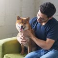 犬好きが多い『都道…