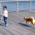 3歳の女の子が海に近…