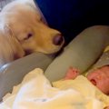 妊娠中のお母さんに…