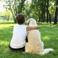 犬が「子どもの免疫…