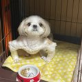 生まれつきの「個性…