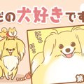 ただの犬好きです。…