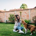 愛犬と遊ぶときに飼…