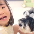 犬が『子どもとのお…