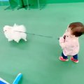 1歳の女の子が『犬の…