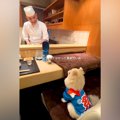 カウンターで大将か…