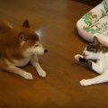 それ一体どうやって…