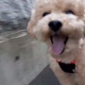 何時間でも付き合い…