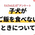 【アンケート実施中…