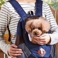 犬用リュックのキャ…