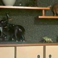 『違和感なさすぎる…