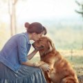 今よりもっと犬との…