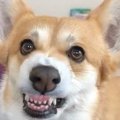 「絶対返さないから…