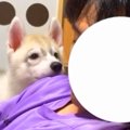 座椅子でウトウトし…