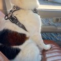 車の助手席に乗って…