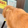 『床屋のおじいちゃ…