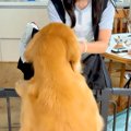 修学旅行から帰って…