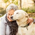 『犬の飼い主が高齢…