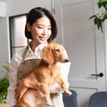 犬の正しい『抱っこ…